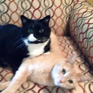 Meet your Posher, Jill